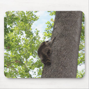 Tapis De Souris Baby Raccoon