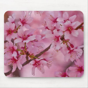 Tapis De Souris Baigné dans les fleurs de cerisier japonaises rose
