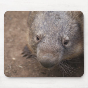 Tapis De Souris Baiser de wombat