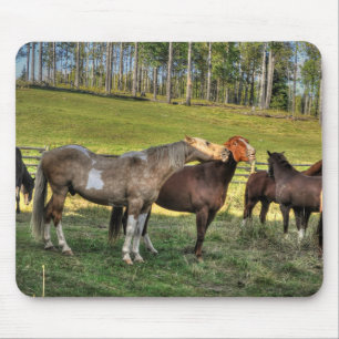 Tapis De Souris Baiser Pinto Stallion & Sorrel Mare Equine Photo