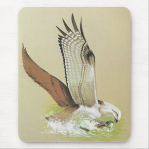 Tapis De Souris Balbuzard - haliaetus de Pandion