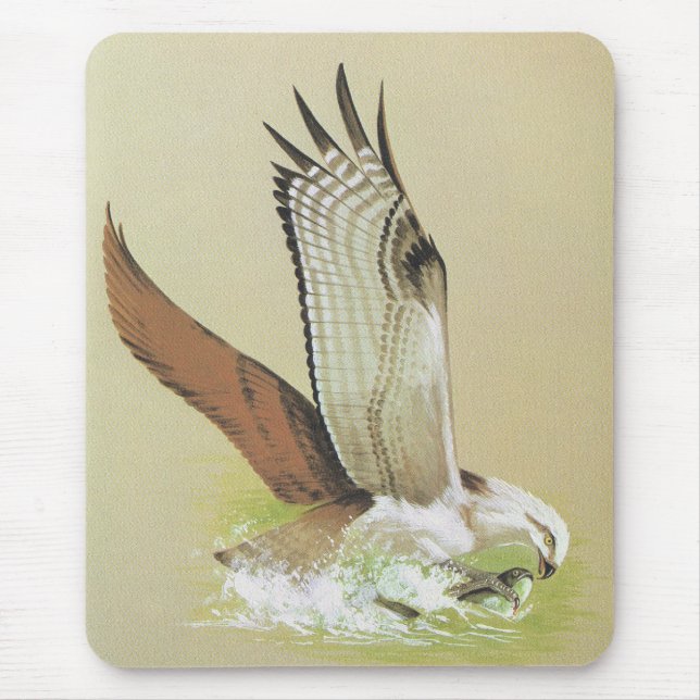 Tapis De Souris Balbuzard - haliaetus de Pandion (Devant)