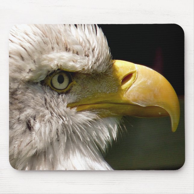 TAPIS DE SOURIS BALD EAGLE (Devant)