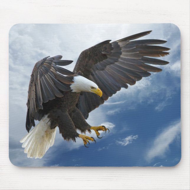 Tapis De Souris Bald eagle (Devant)