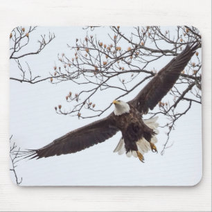 Tapis De Souris Bald Eagle Étalon