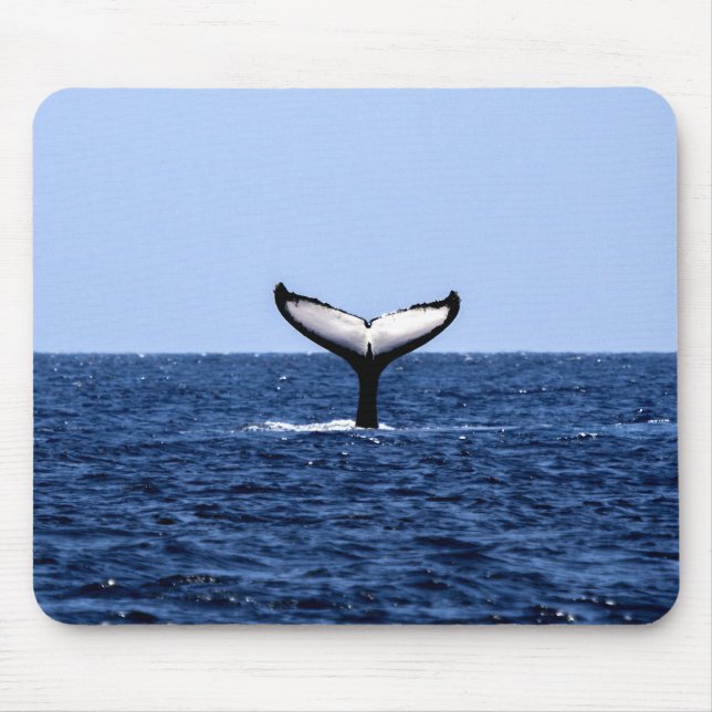 Tapis De Souris Baleine à bosse en océan (Devant)