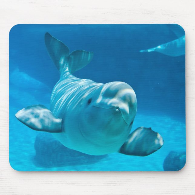 Tapis De Souris Baleine de beluga (Devant)