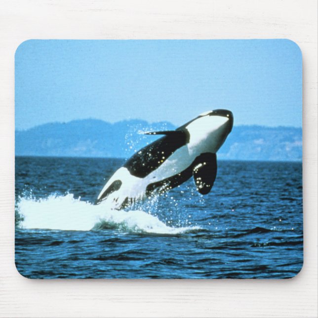 Tapis De Souris Baleine tueuse (Devant)