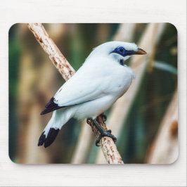 Tapis De Souris Bali Mina Bird Mousepad
