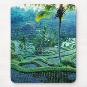 Tapis De Souris Bali Vue d'ensemble des rizières