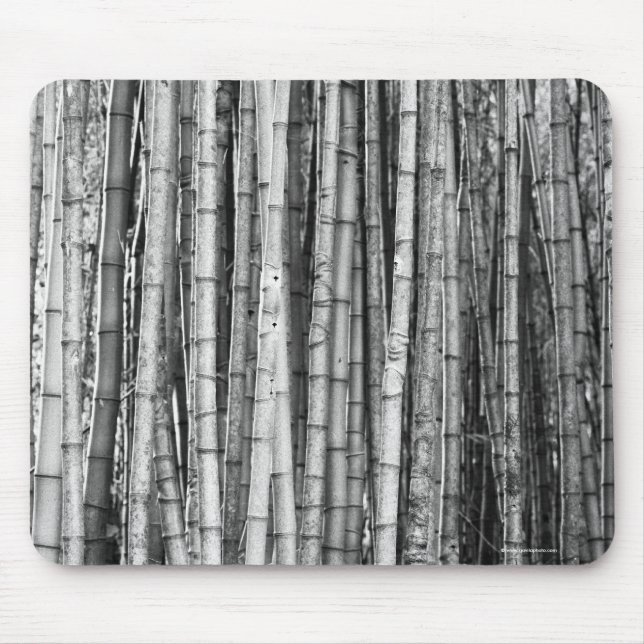 Tapis De Souris Bambou (Devant)
