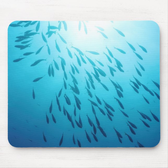 Tapis De Souris Banc des poissons (Devant)