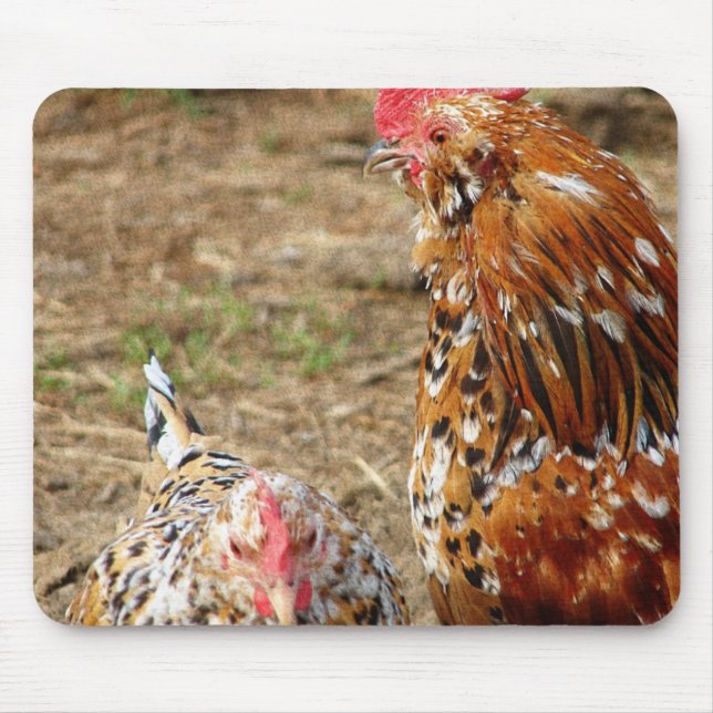 Tapis De Souris Bantam Hen et Rooster (Devant)