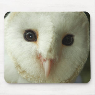 Tapis De Souris Barn Owl Mousepad