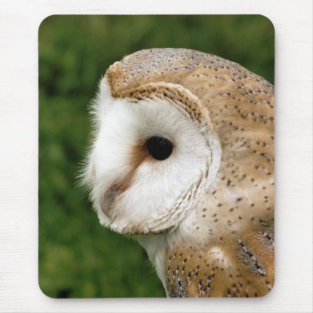 TAPIS DE SOURIS BARN OWLS (Devant)