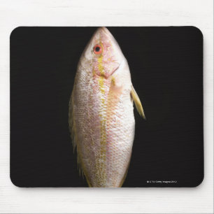 Tapis De Souris Bass marin entier