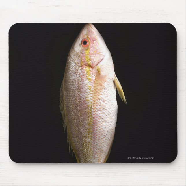 Tapis De Souris Bass marin entier (Devant)