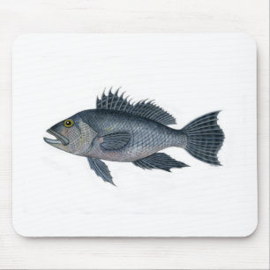 Tapis De Souris basse 3 2442.jpg signé de la Mer Noire