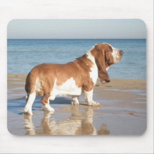 Tapis De Souris Basset Hound Chien Chien Coquelicot Ordinateur Mou