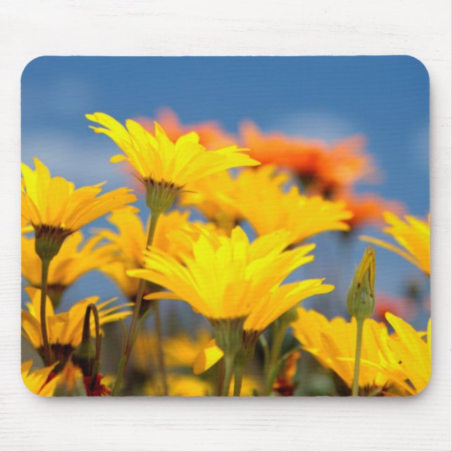 Tapis De Souris Bassins De Namaqualand Orange Et Jaune (Devant)