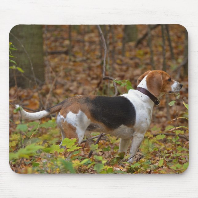 Tapis De Souris Beagle à Woods (Devant)