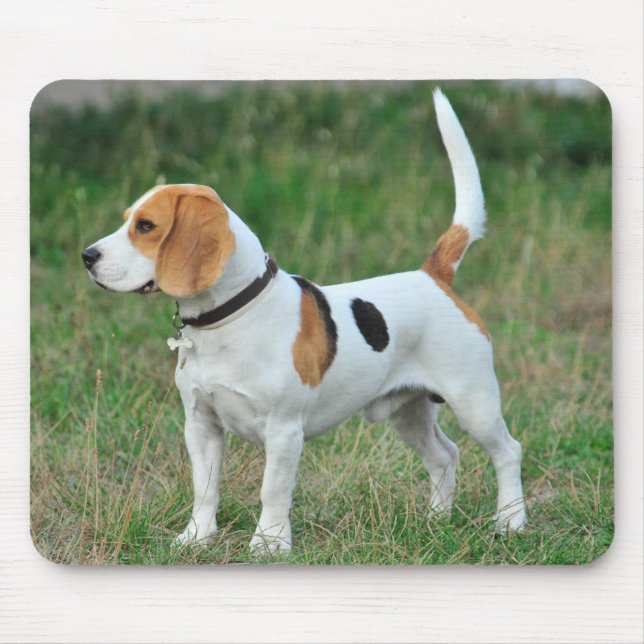 Tapis De Souris Beagle Hound Dog (Devant)