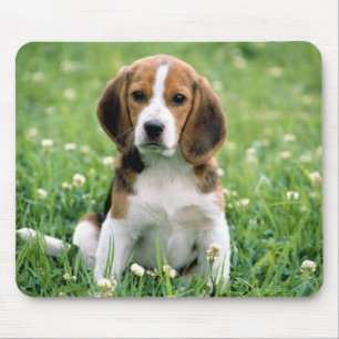 Tapis De Souris Beagle Puppy