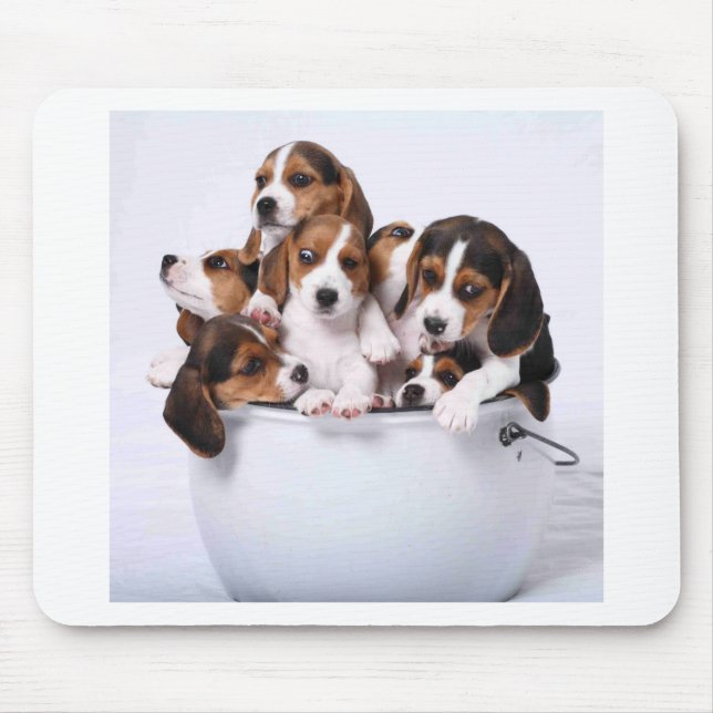 Tapis De Souris Beagles dans le seau (Devant)