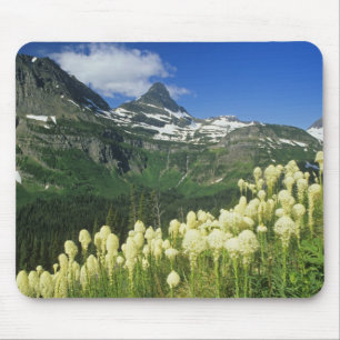 Tapis De Souris Beargrass près du col Logan National Gacier