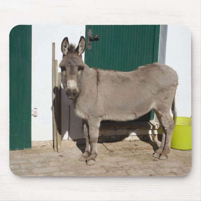 Tapis De Souris Beau âne (Devant)
