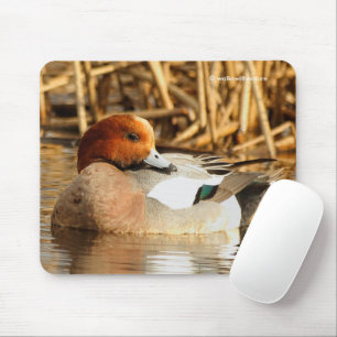 Tapis De Souris Beau canard éponge à l'étang de l'Eurasie