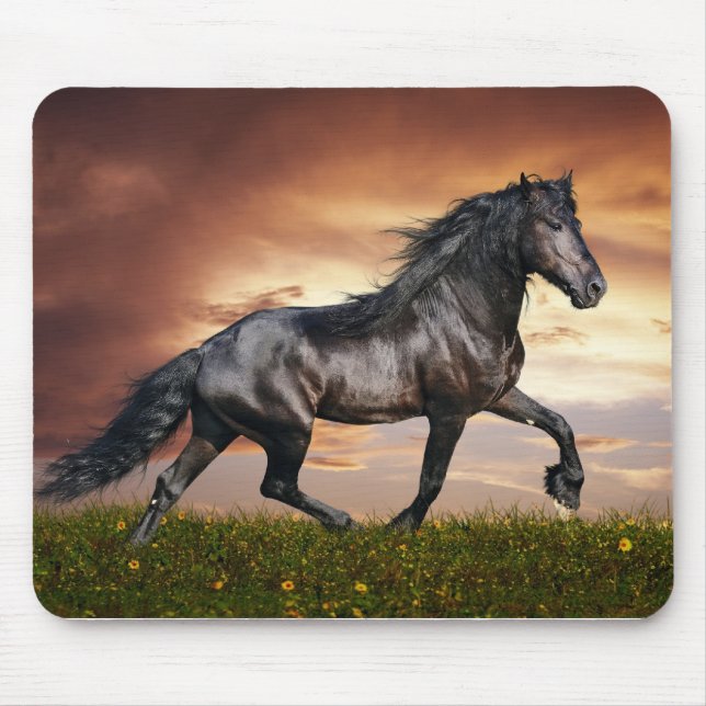 Tapis De Souris Beau cheval (Devant)