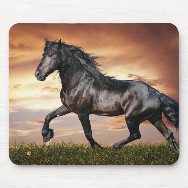 Tapis De Souris Beau Cheval Noir (Devant)