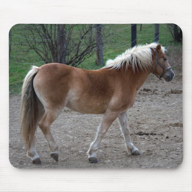 Tapis De Souris Beau Haflinger (Devant)