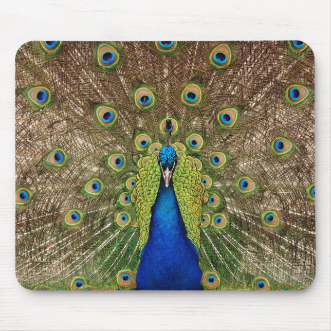 Tapis De Souris Beau paon et plumes imprimer mousepad (Devant)
