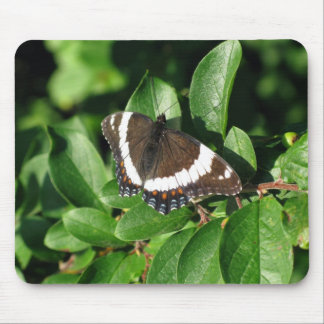 Tapis De Souris Beau papillon
