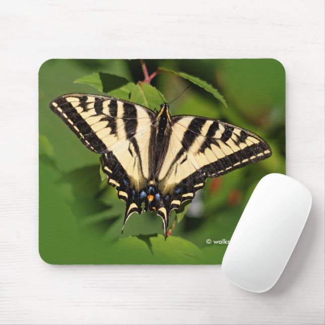 Tapis De Souris Beau papillon de l'Ouest de Tigre Swallowtail (Avec souris)