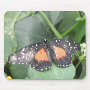 Tapis De Souris Beau papillon Mousepad