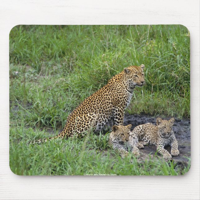 Tapis De Souris beau petit animal de léopards (Devant)