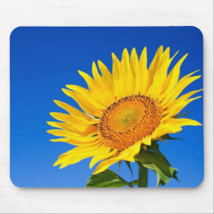 Tapis De Souris Beau tournesol