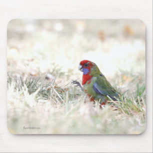 Tapis De Souris Beauté cramoisie