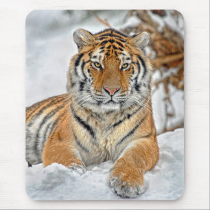 Tapis De Souris Beauté de tigre dans la neige