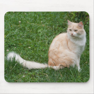 Tapis De Souris Beauté rouge clair