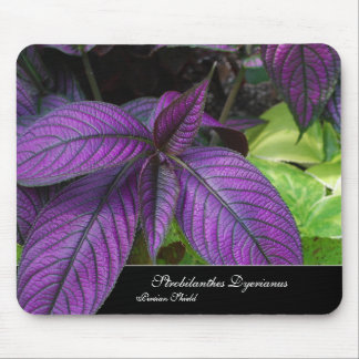 Tapis De Souris Beauté violette Mousepad