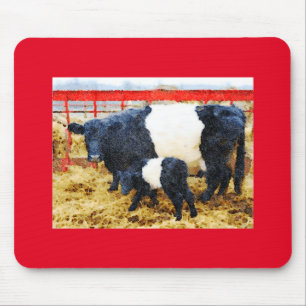 Tapis De Souris Beautiful Belted Galloway cow and calf watercolour
