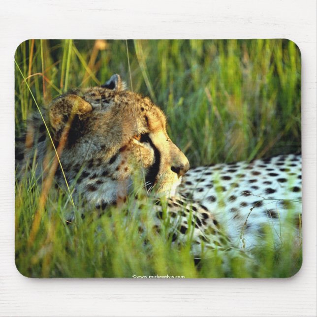 Tapis De Souris Beaux animaux sauvages 112 (Devant)