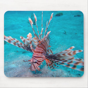 Tapis De Souris Beaux poissons rouges de lion