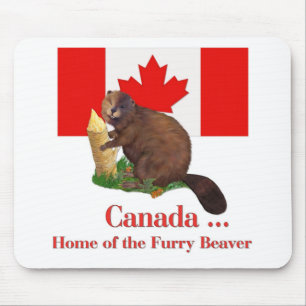 Tapis De Souris Beaver Furry