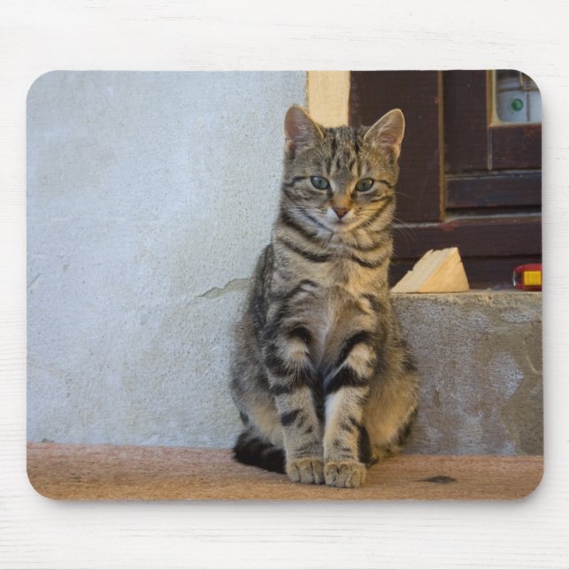 Tapis De Souris Bébé de chat de tigre adorable (Devant)