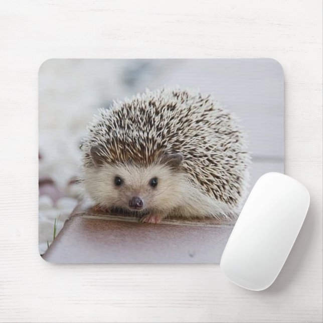 Tapis De Souris Bébé hérisson (Avec souris)